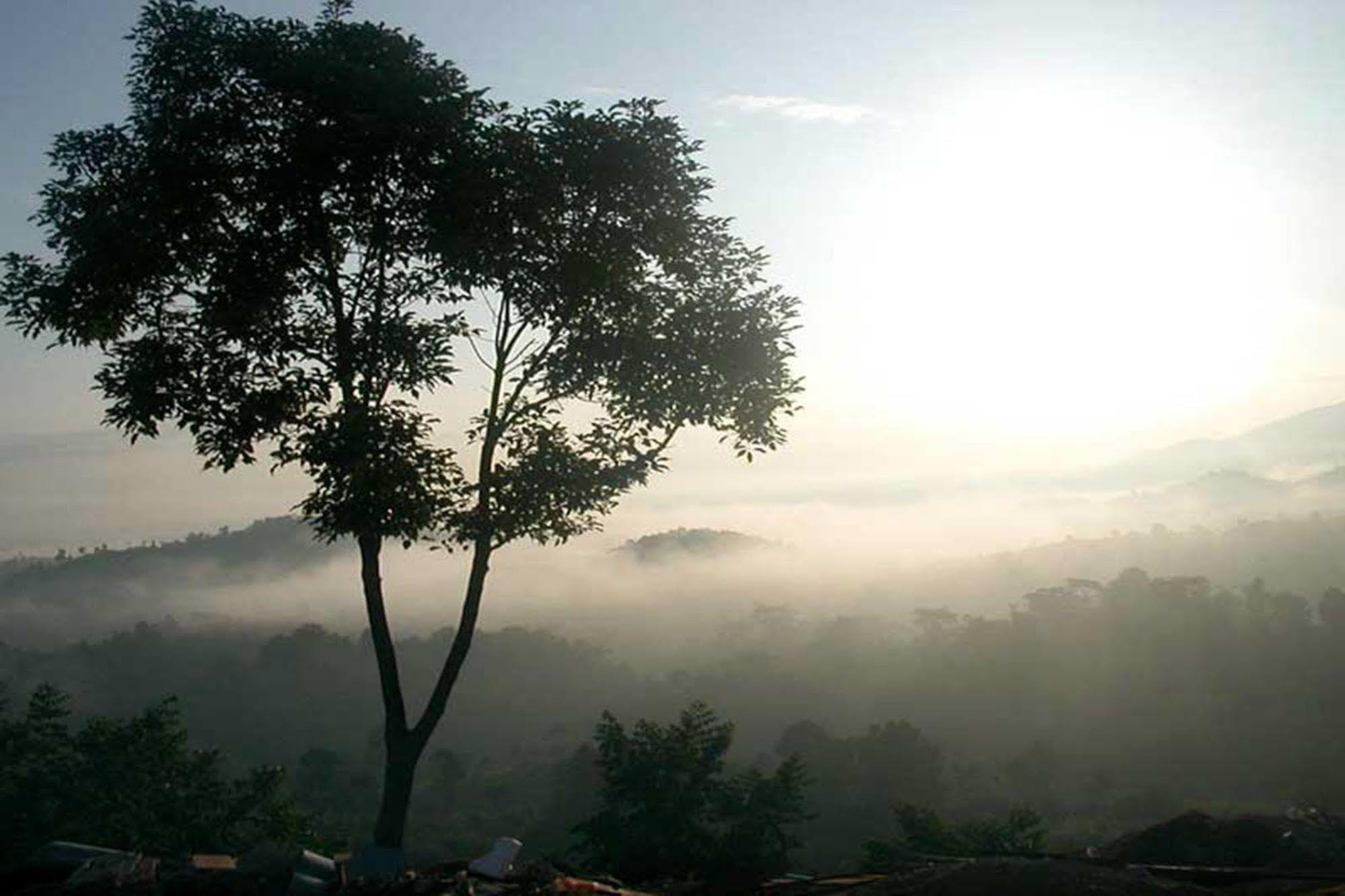 Chiang Rai Valley Resort @Doi Hom Fha Mae Chan Exterior photo